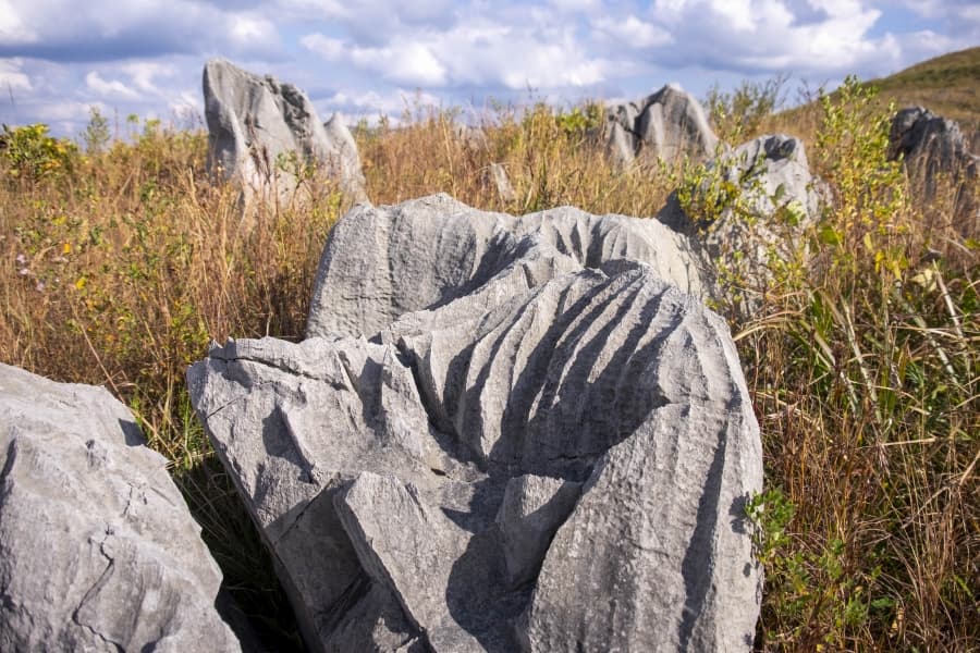 Akiyoshidai Karst limestone outcrops-min