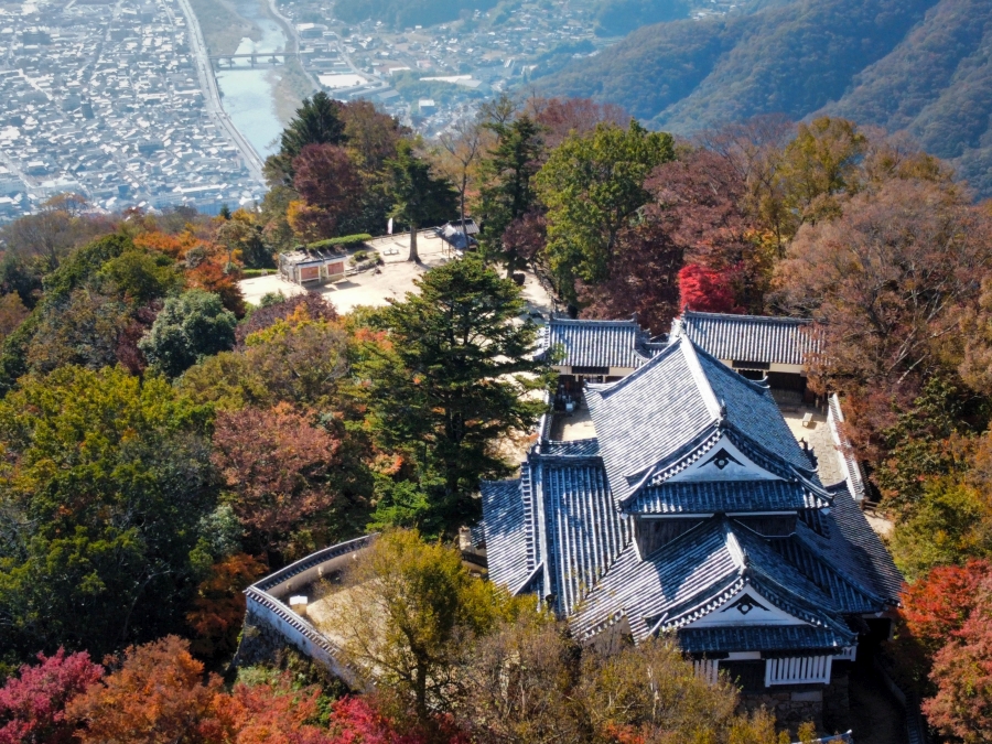Bitchu-Matsuyama castle in autumn