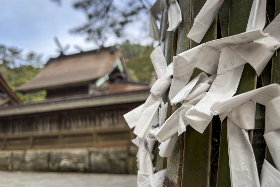Izumo Shrine fortune slips