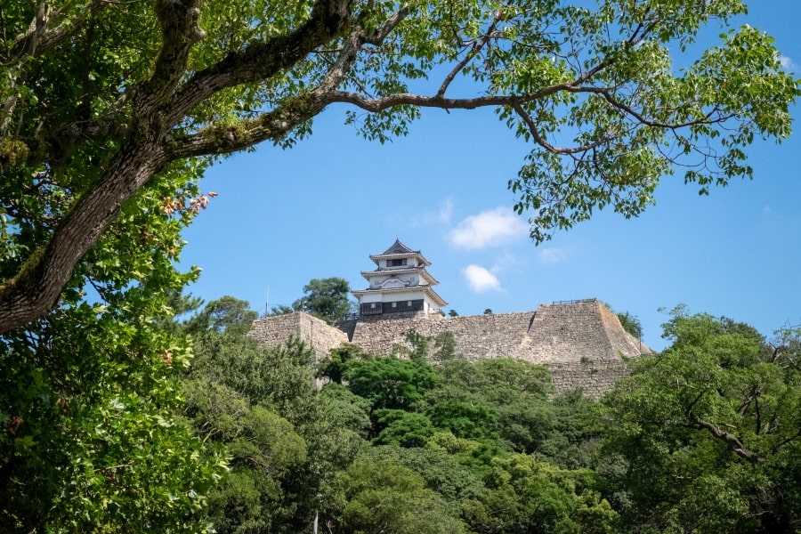 Marugame Castle general view