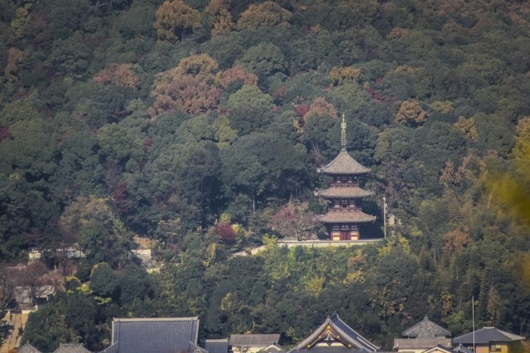 Saikoku-ji Temple