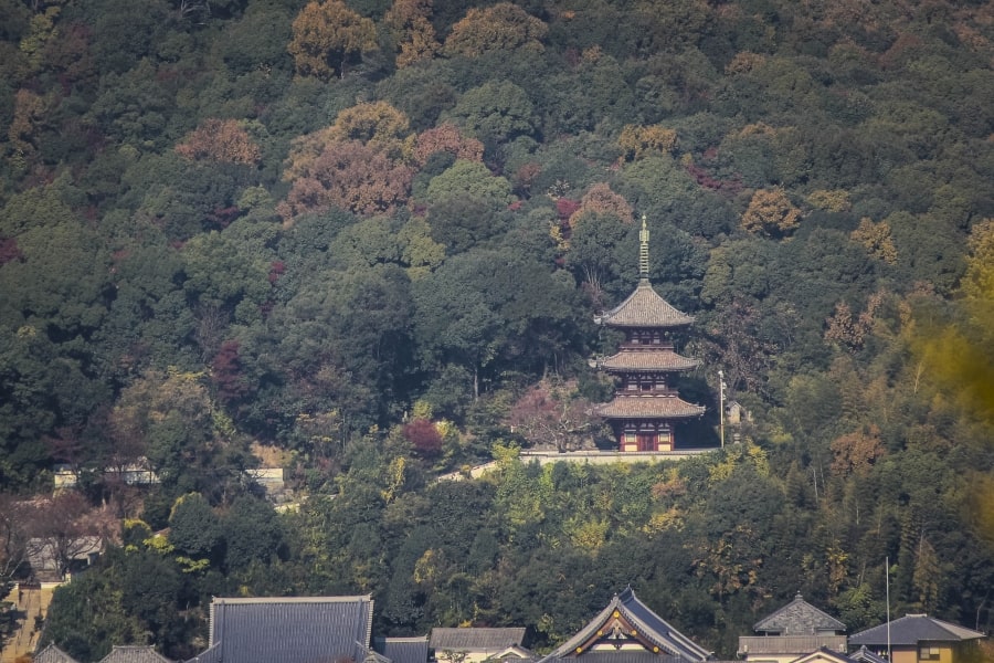 Saikoku-ji Temple Onomichi pagoda