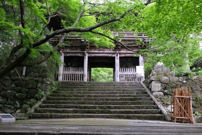 Shikoku Pilgrimage with Walks