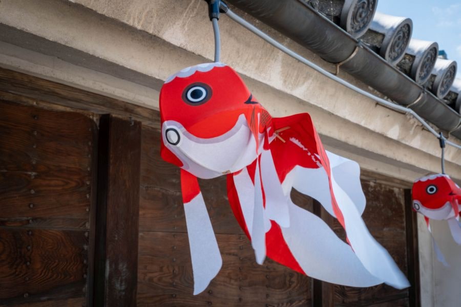 Yanai goldfish lantern