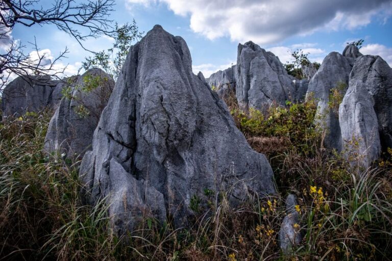 Akiyoshi Plateau and Caves