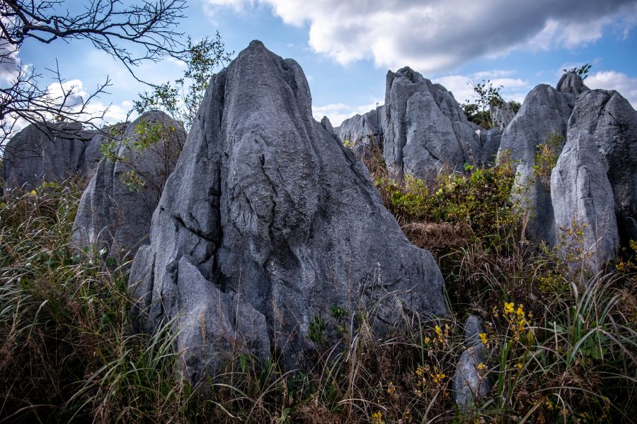 Akiyoshidai limestone