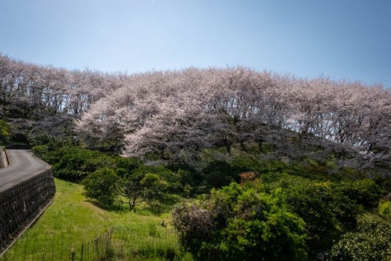Sagishima Island